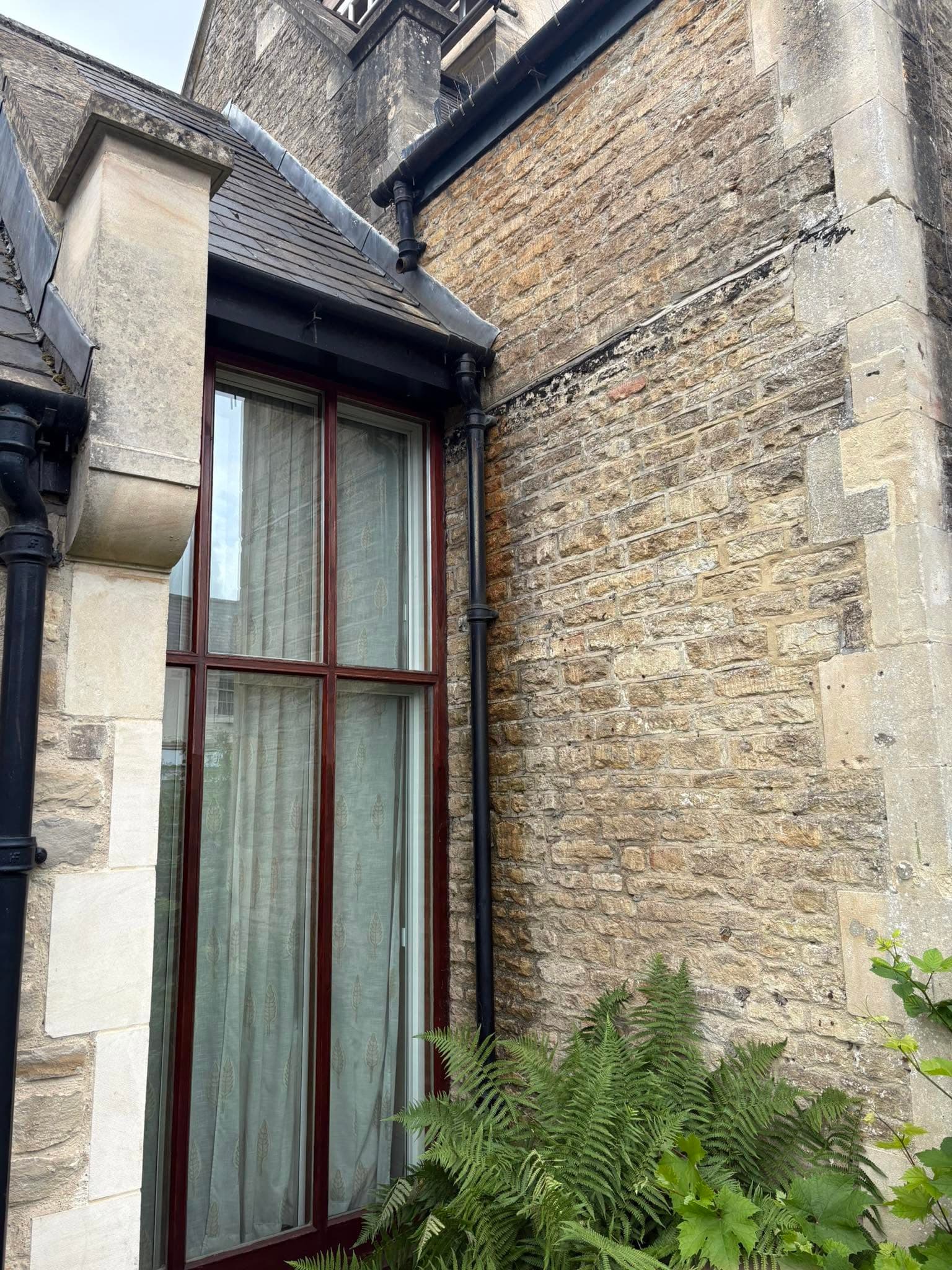 Tall, narrow window with dark frames in a stone wall with green ferns.