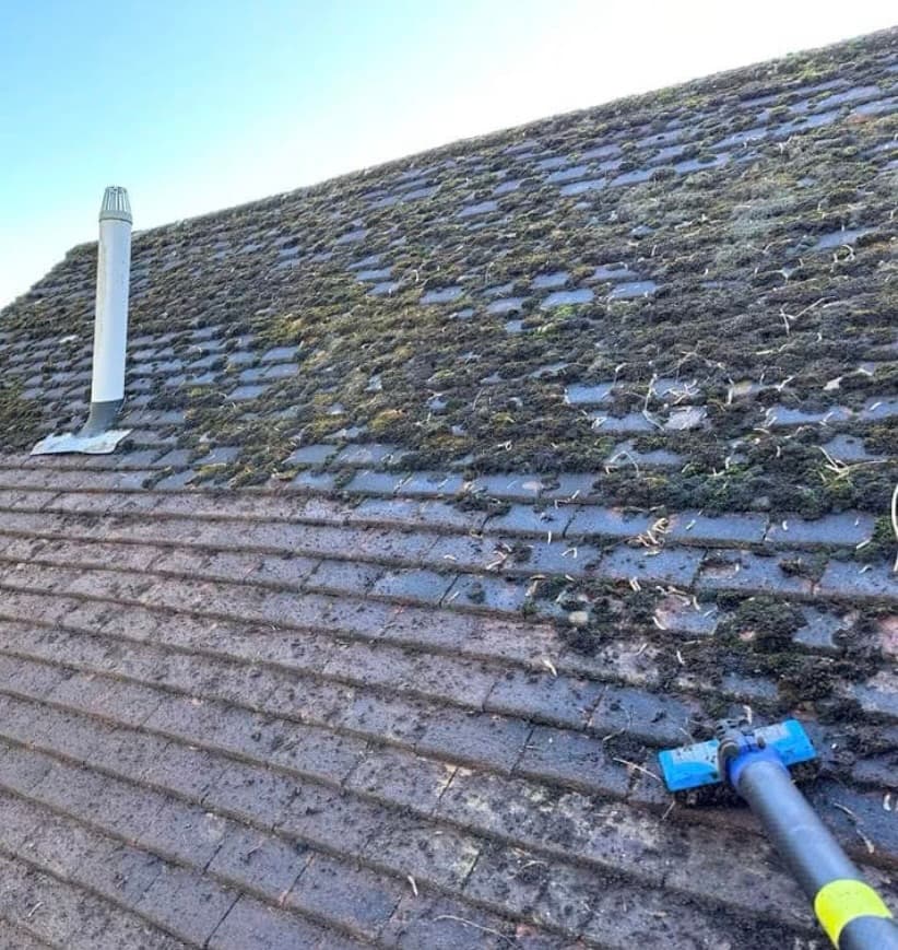 Cleaning tool scraping thick moss off a tiled roof, revealing the clean surface underneath.